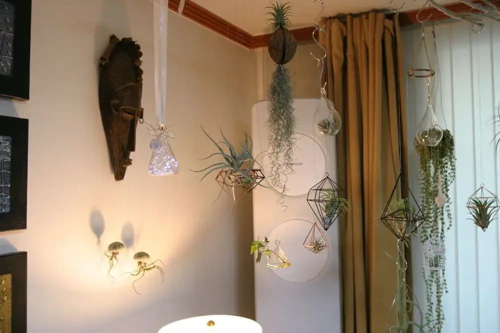 Refee House - photo 7
