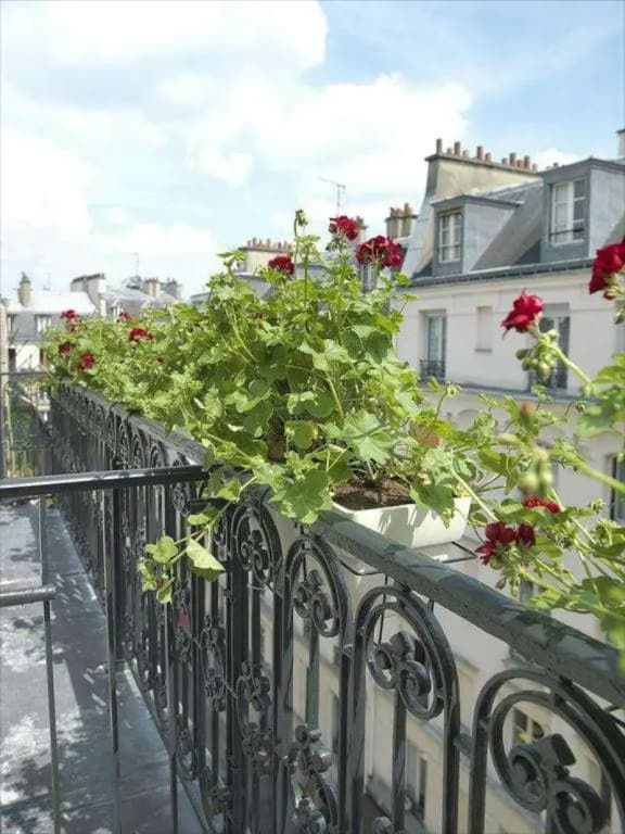 Hôtel Vendome Saint Germain - photo 10
