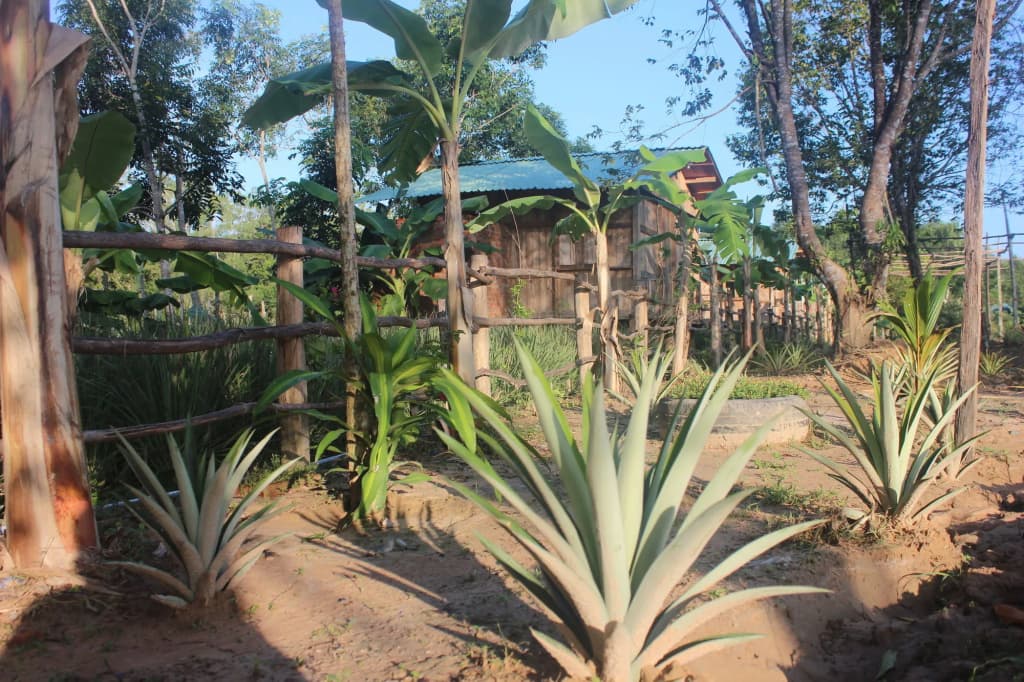 Pepper Farm Phu Quoc Bungalow - photo 11