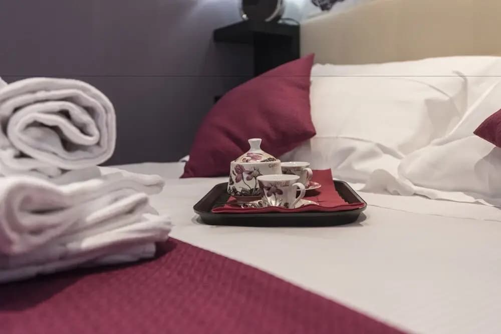 Vite Suites Guest House - photo 6