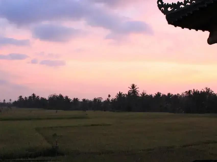 Villa Mangku in Ricefield - photo 1