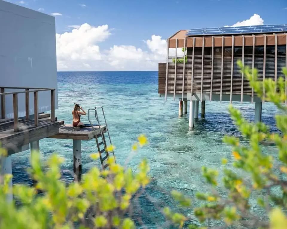 Park Hyatt Maldives Hadahaa Resort - photo 37