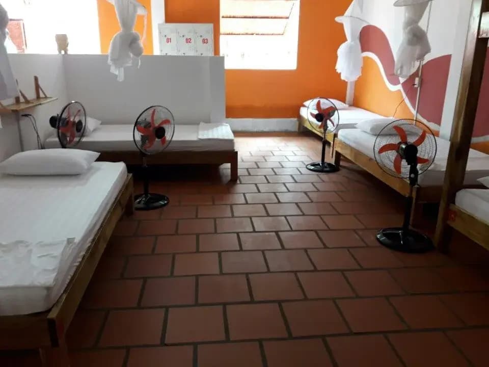 Phu Quoc Backpackers - photo 6