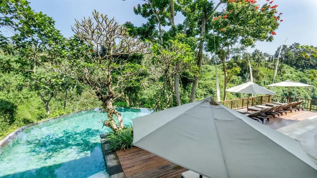 Natura Resort and Spa - photo 28