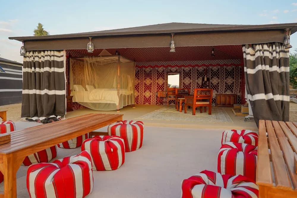 Al Marmoom Dome Luxury Desert Experiential Stay - photo 15