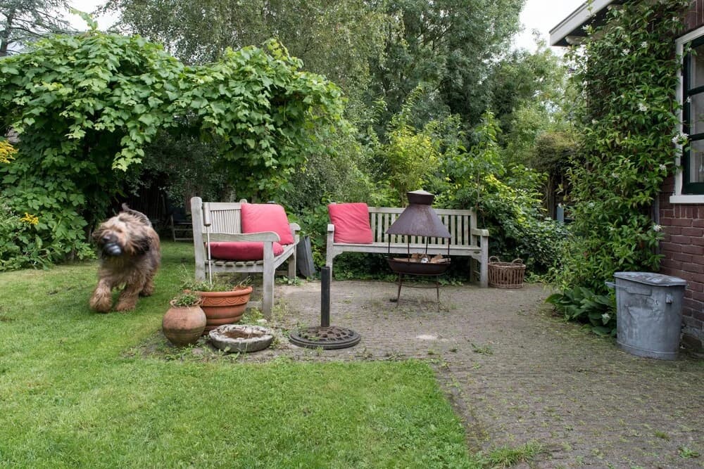 The Lazy Lodge - photo 24