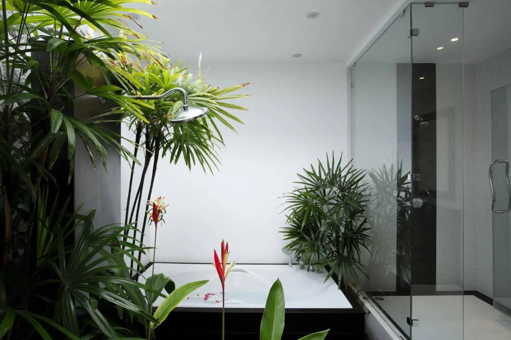 Villas Aelita Phuket - photo 8