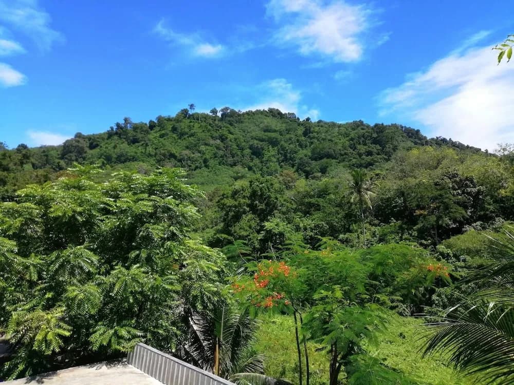 Phuchada Residence - photo 19