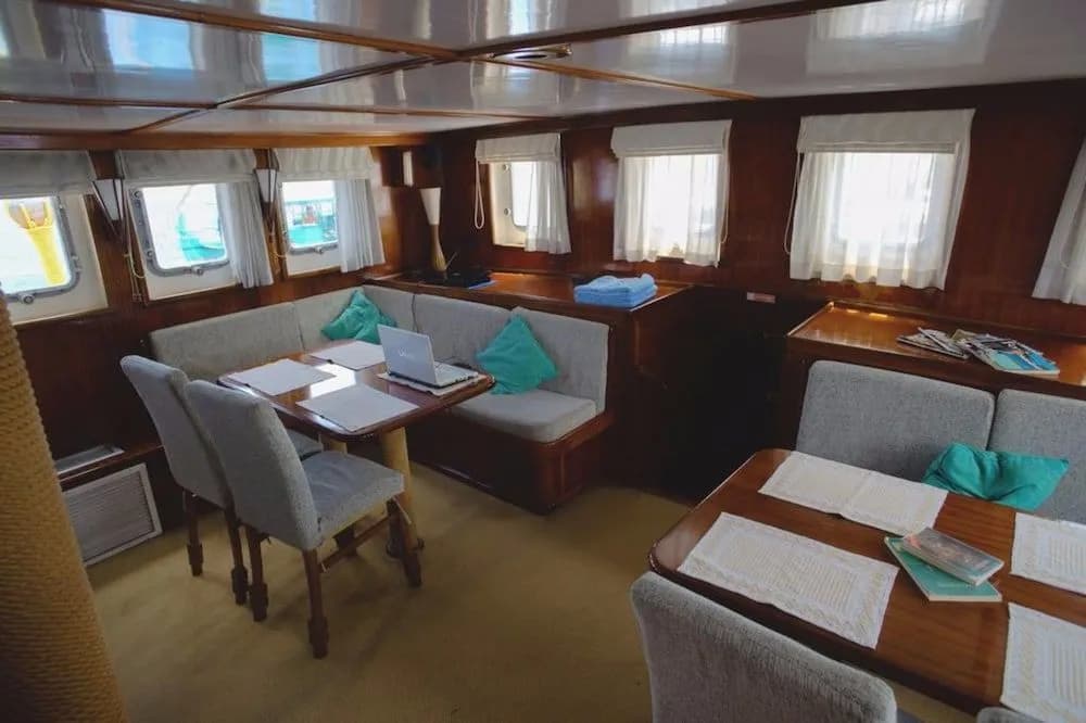 Dream Voyager - photo 4