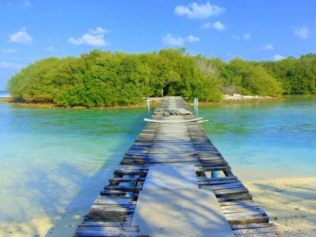 Canopus Retreat Thulusdhoo - photo 22
