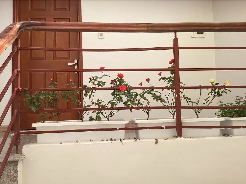 Palmo Service Apartment 2 - photo 10