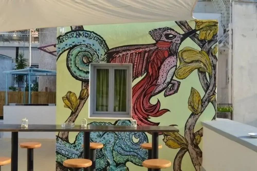 Chameleon Youth Hostel - Hostel - photo 17