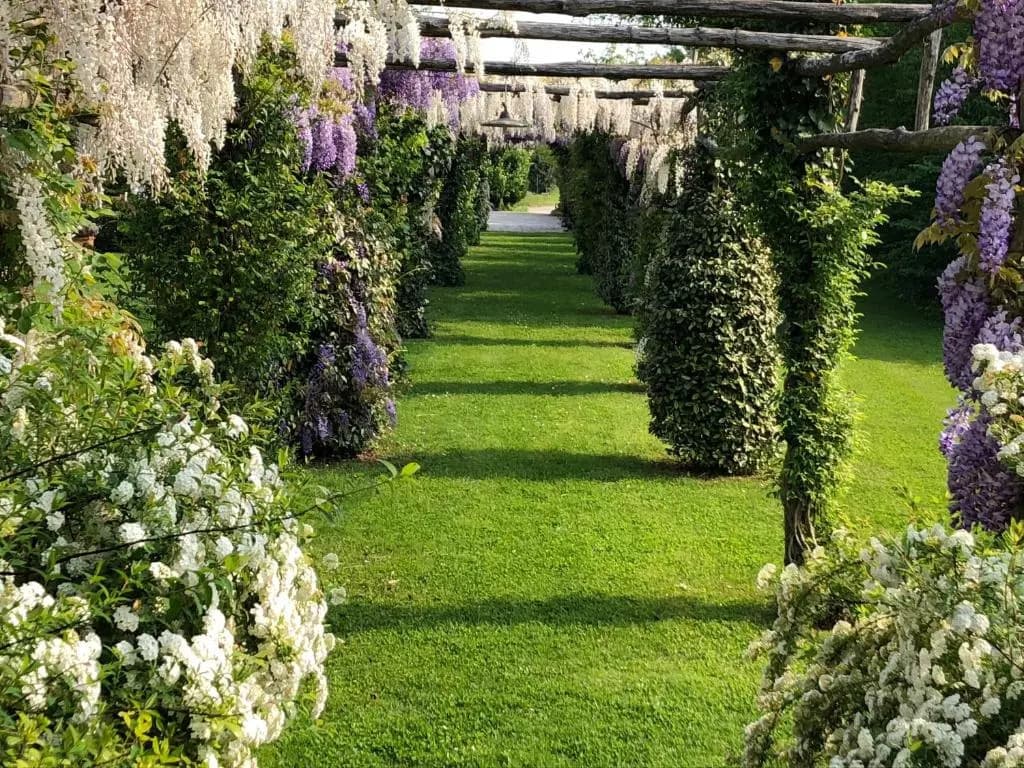 Venicegreen Agriresort - main photo