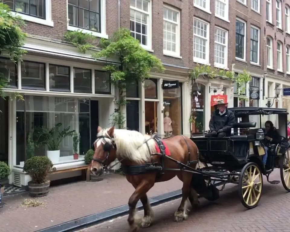 Amsterdam B&B Barangay - photo 17