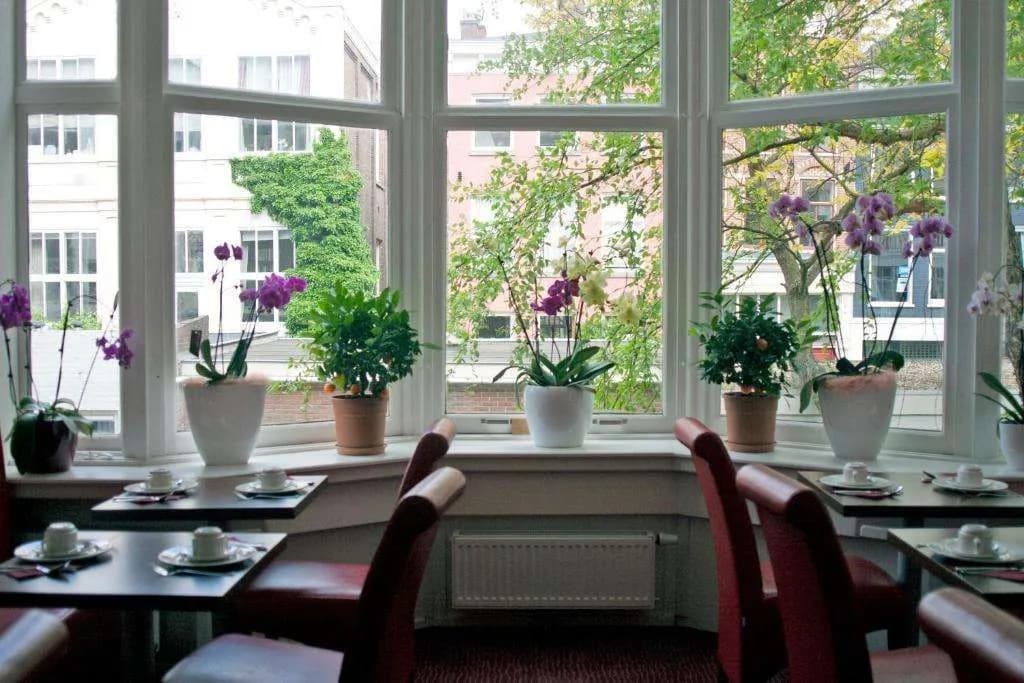Hotel Allure - photo 26