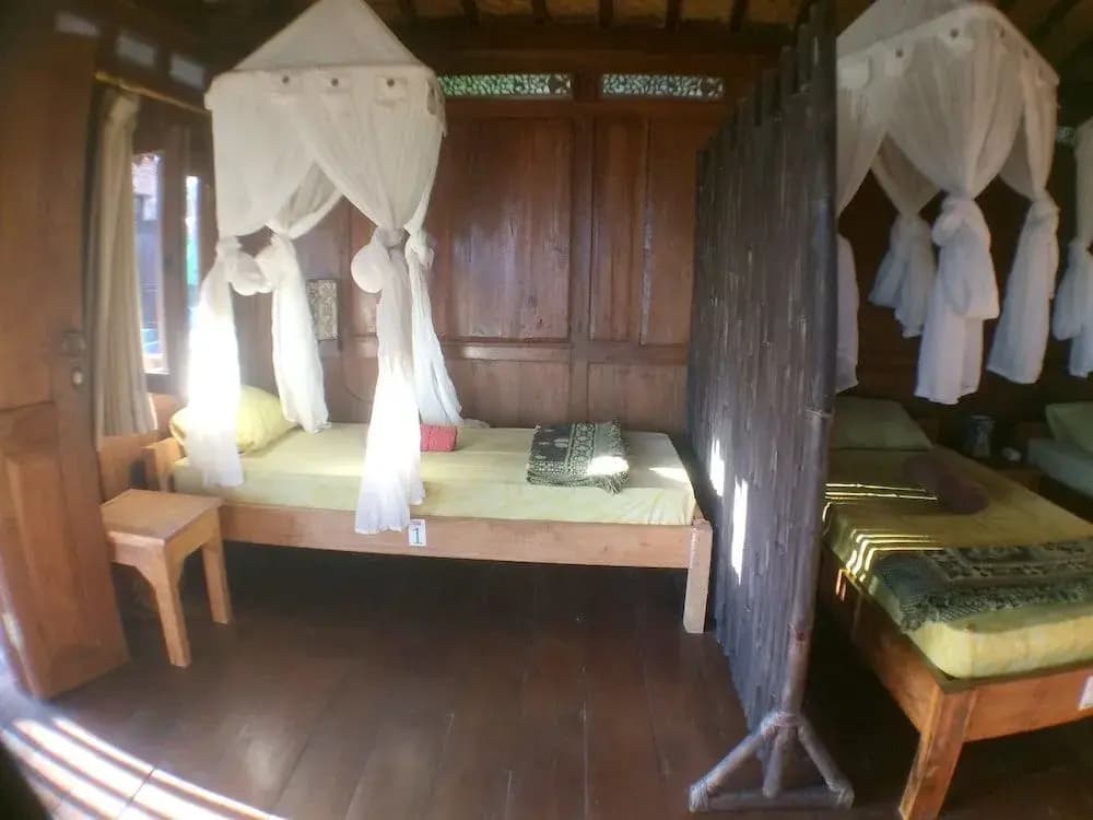 Green Paddy Hostel - photo 3