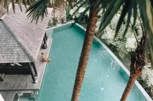 Villa Naga Putih - photo 5