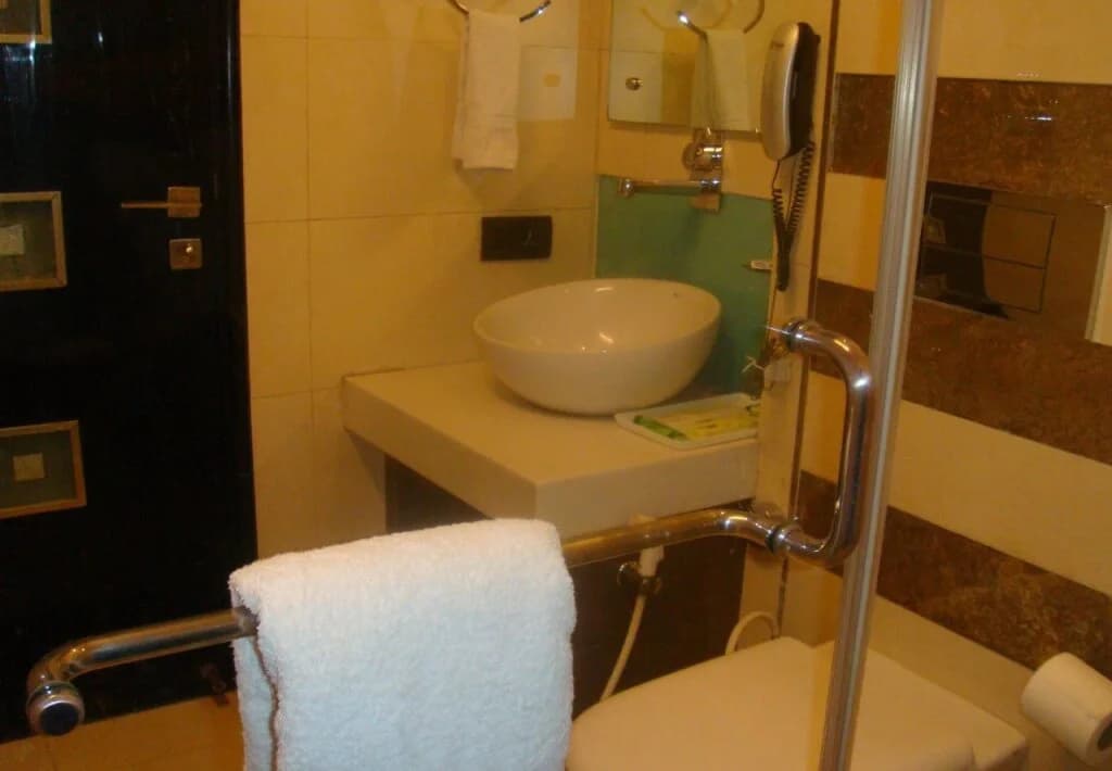 Shreyans Inn - photo 13