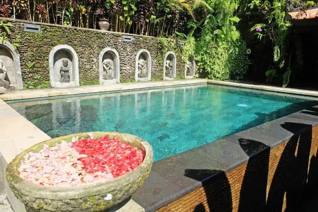 Rumah Kelinci - photo 15