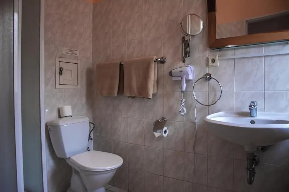 Hotel Victor - photo 11