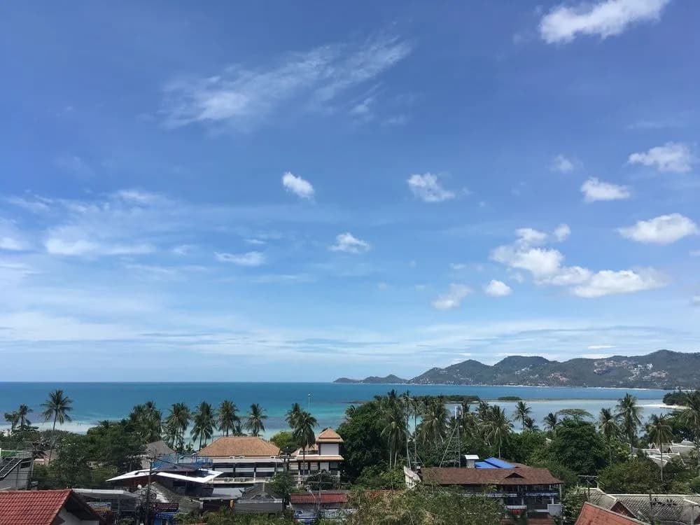 Bodega Koh Samui - Adults Only - photo 15