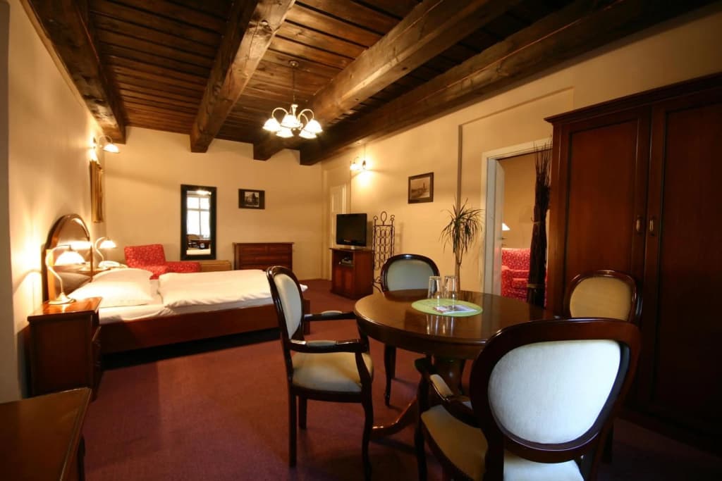 Hotel & Residence U Tri Bubnu - photo 17