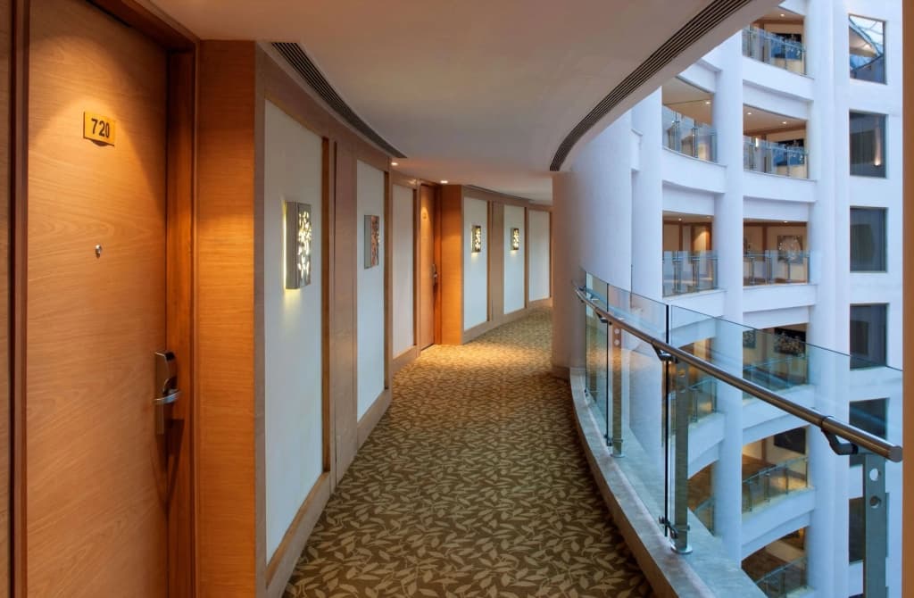 Radisson Blu Hotel New Delhi Dwarka - photo 9