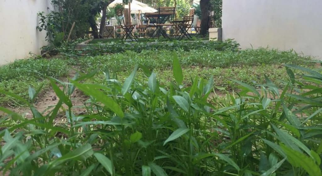 Heritage Homestay - photo 10