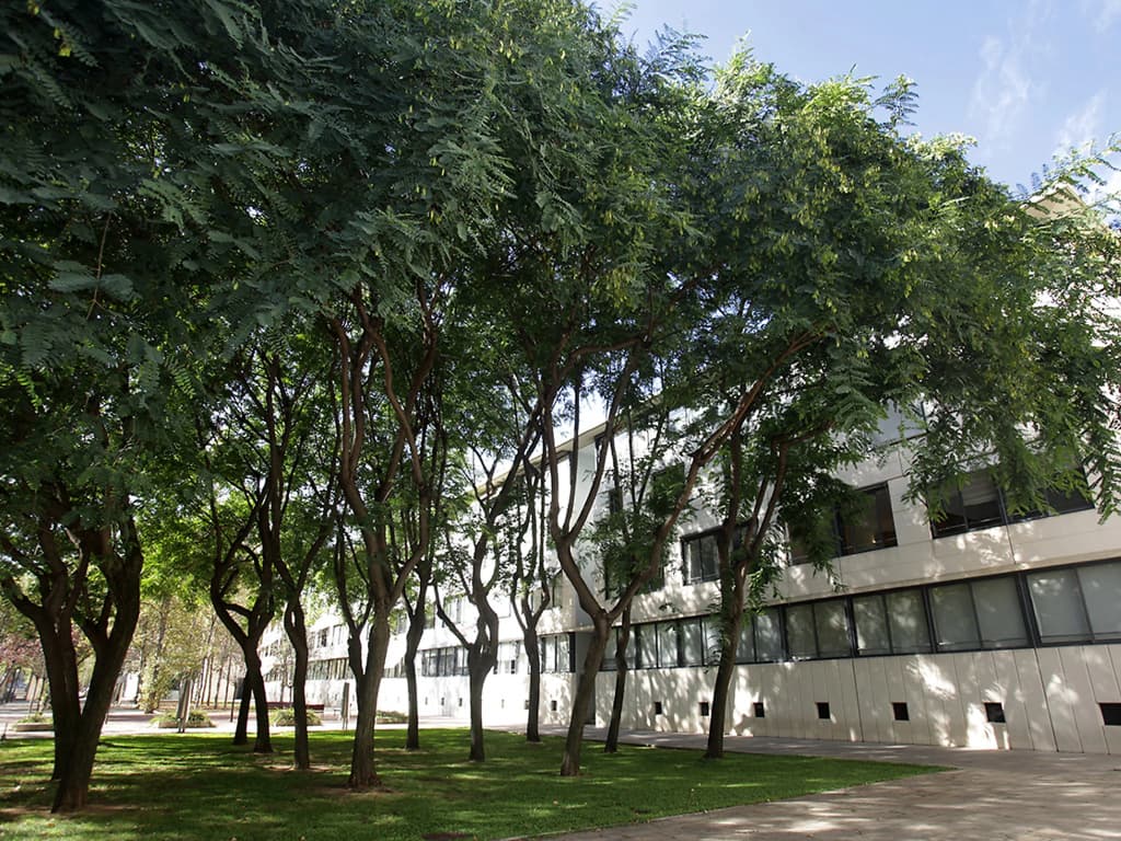 Vila Olimpica Pamplona - photo 8
