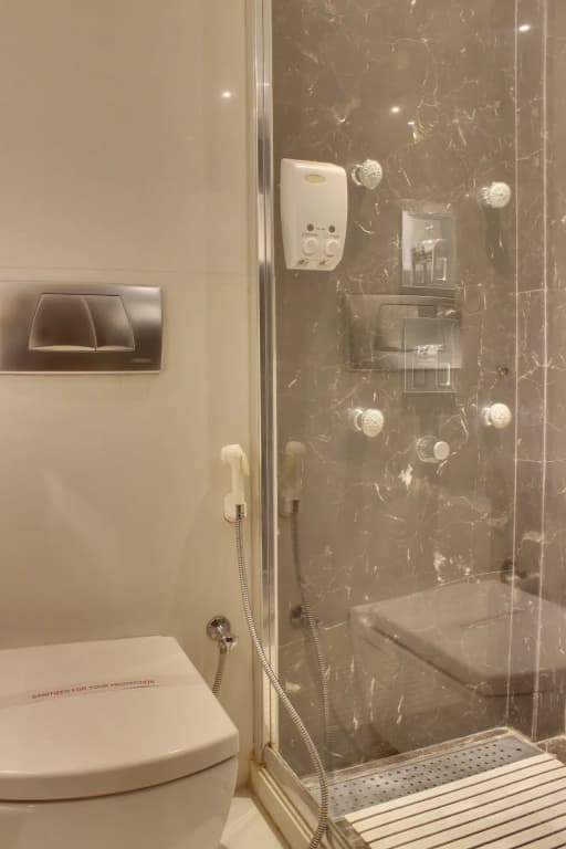 Hotel Godwin Deluxe - photo 8
