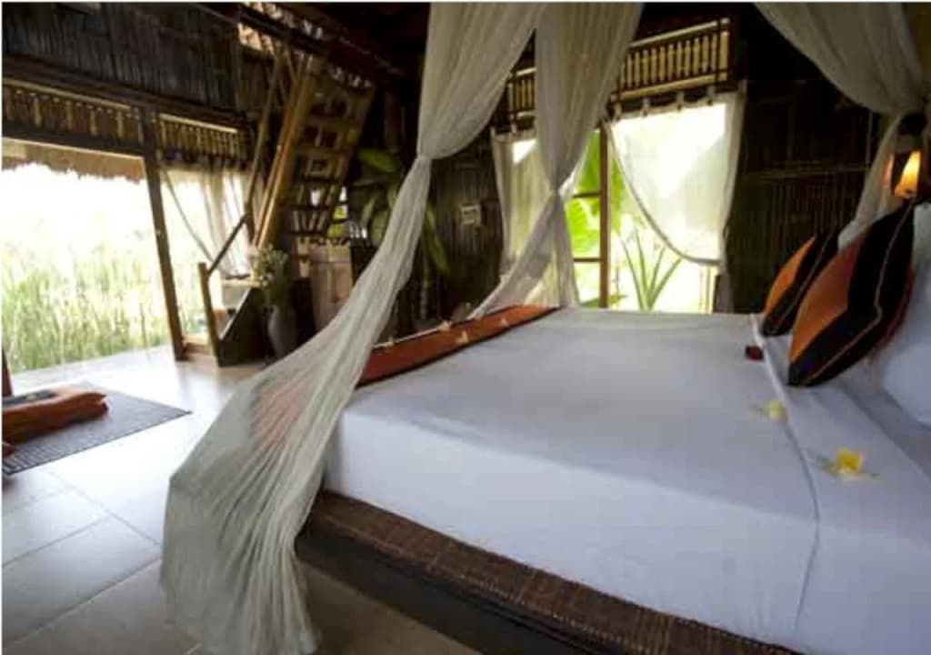 Ubud Hidden Villa - photo 1