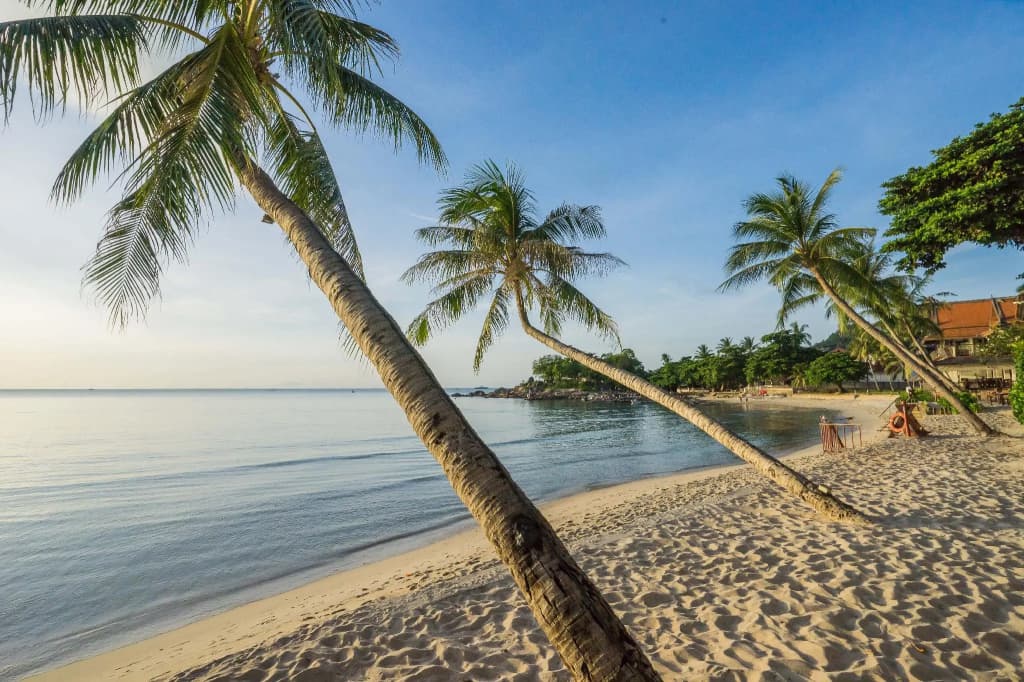 Samui Paradise Chaweng Beach Resort - photo 18