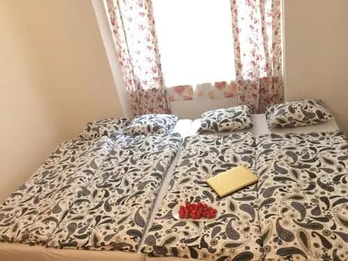 Condo in Vinohrady - photo 3