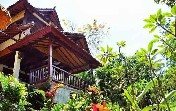 Pugig Homestay - photo 1