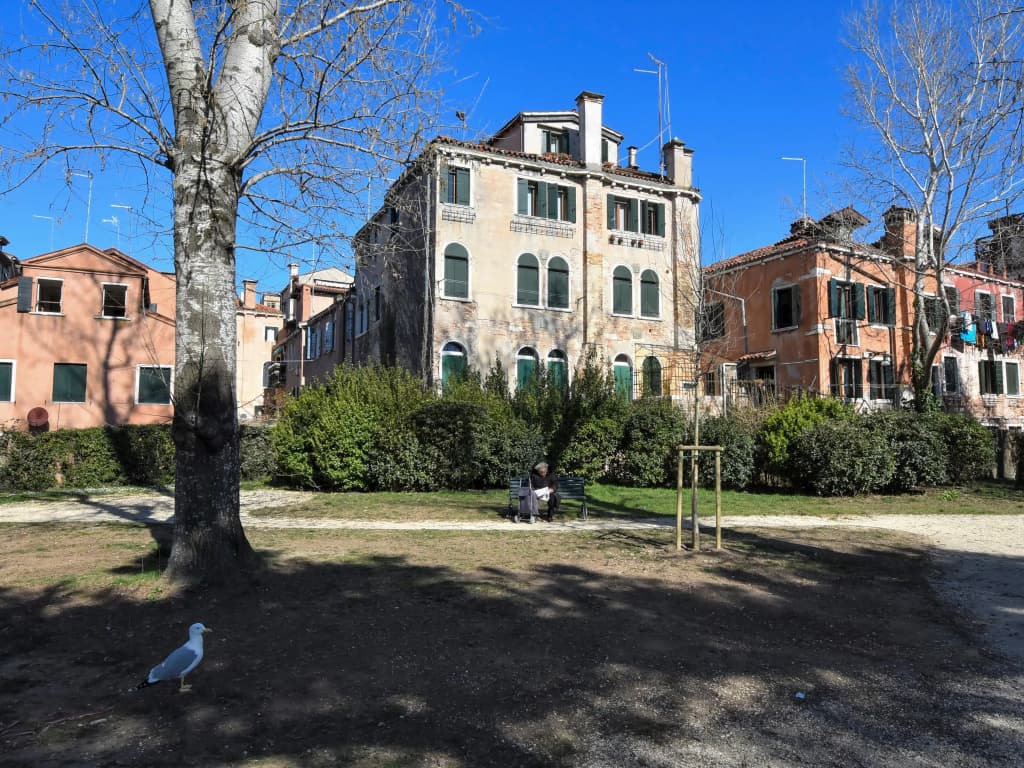 Casanas - photo 16
