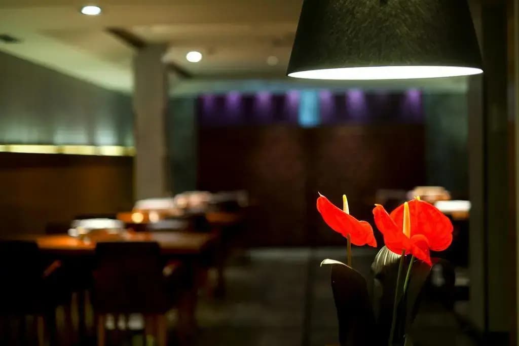 Sansi Pedralbes Hotel Barcelona - photo 35