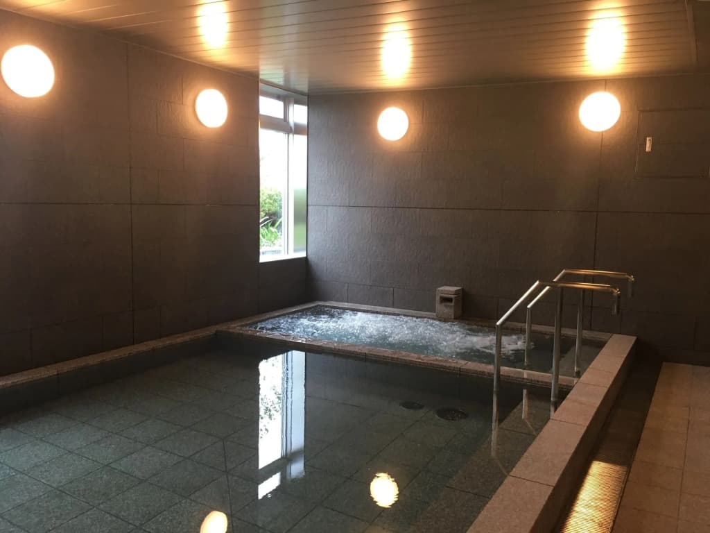 Nippon Seinenkan Hotel - photo 19
