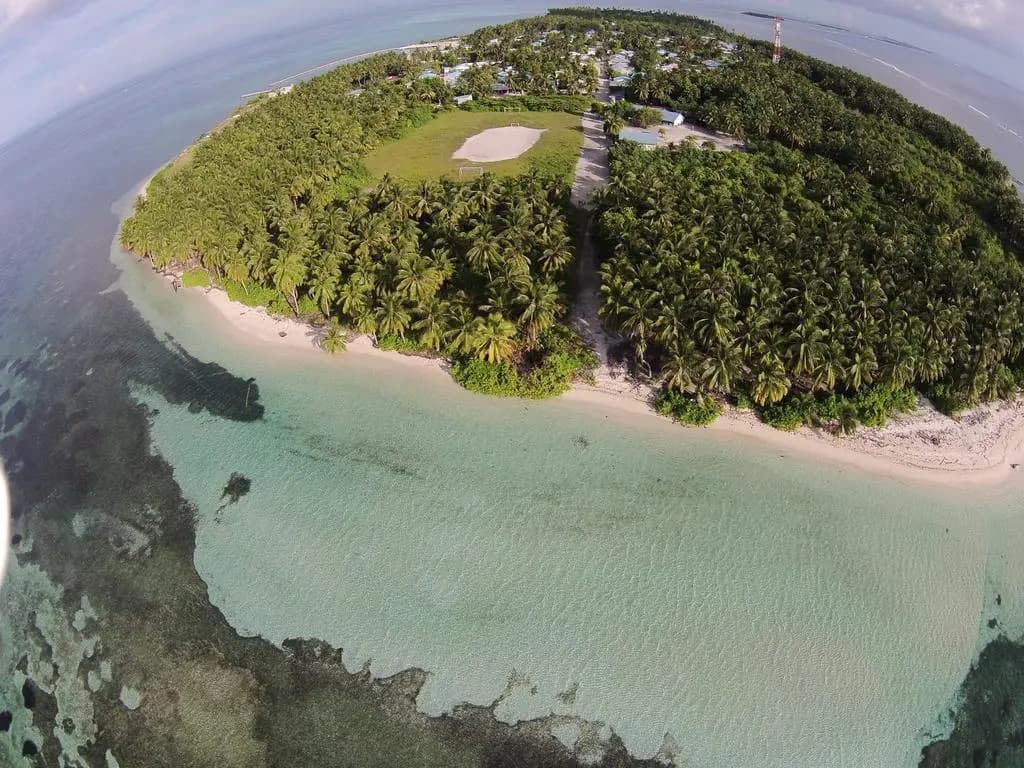 Pearl Beach View - photo 10