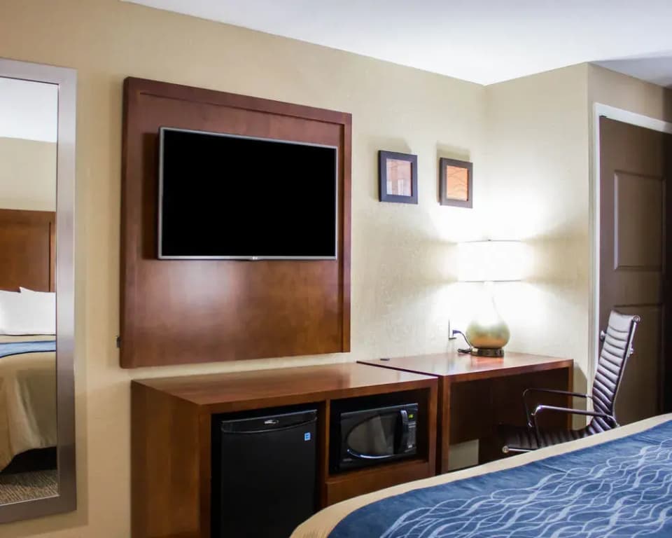 Comfort Inn Jamaica - photo 4