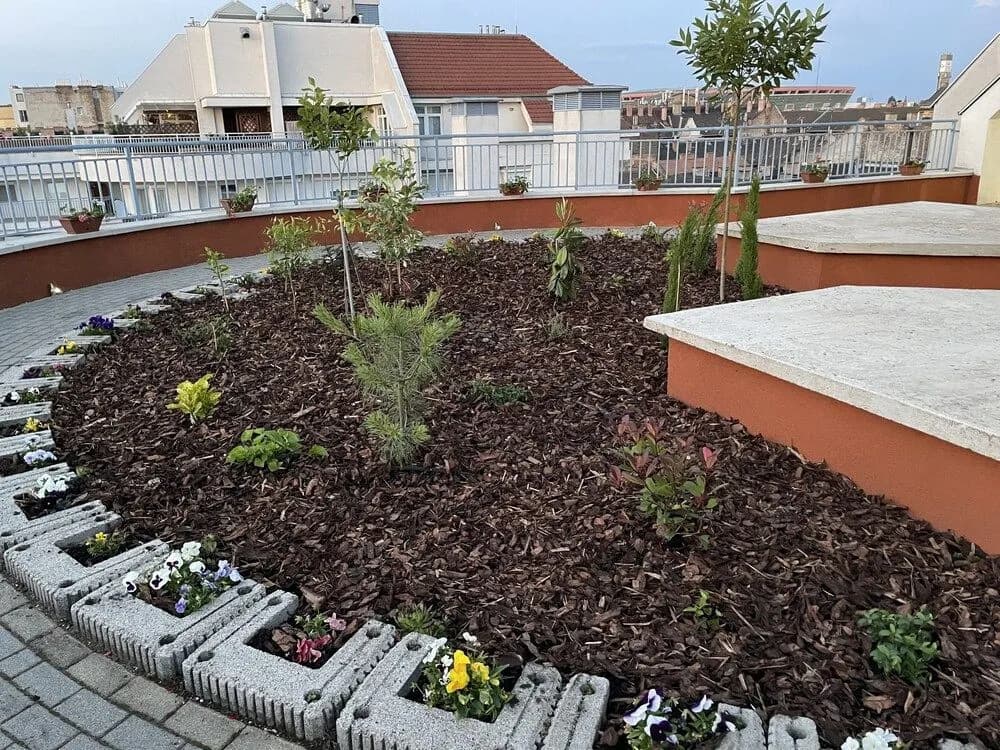 Rooftop City Residence - photo 23