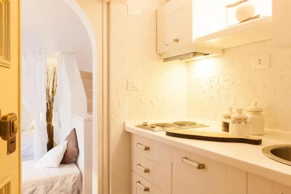 Navona Penthouse - photo 6