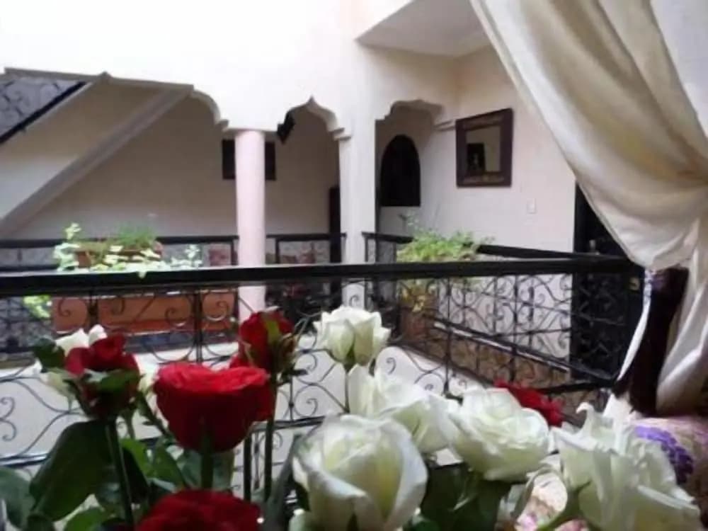 Riad Zinnha - photo 19