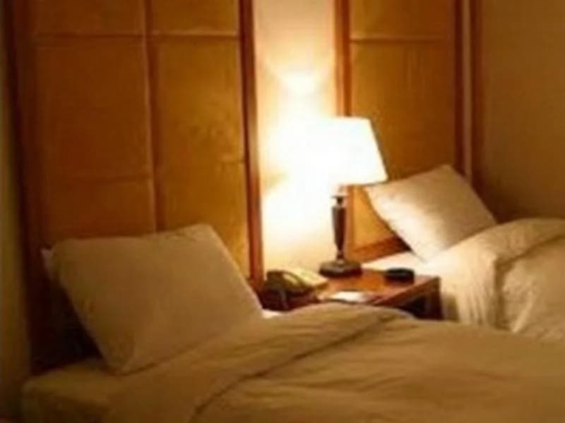 New Regent Hotel(뉴 리젠트 호텔) - photo 8