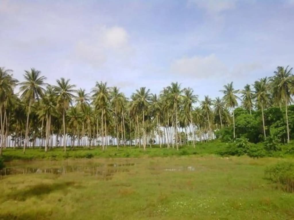 Sunanta Bungalow - photo 17