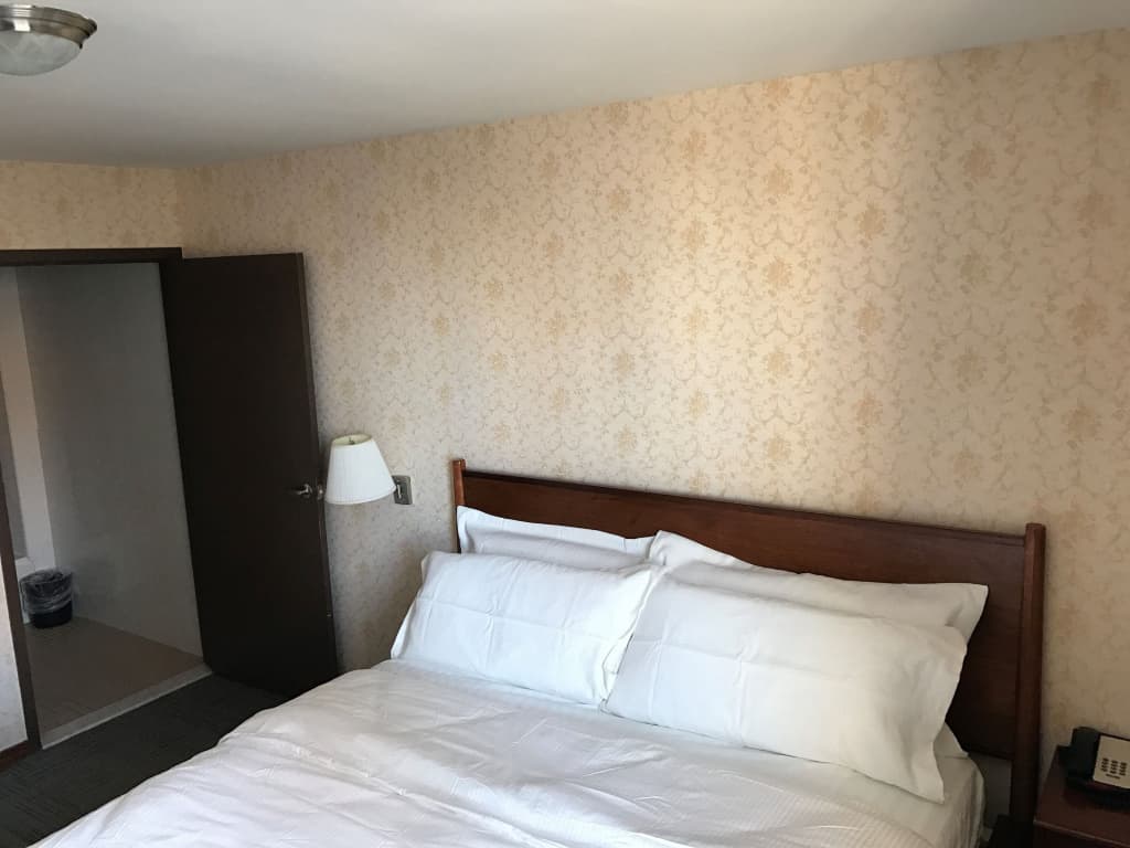 Hotel Mimosa - photo 4