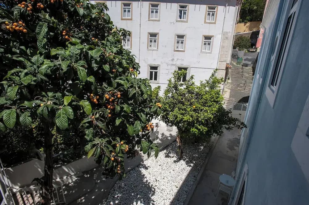 Portas do Castelo Apartments - photo 14
