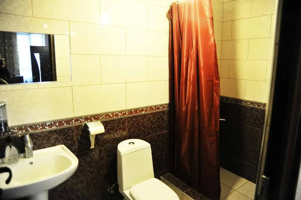 Guesthouse Gia - photo 6