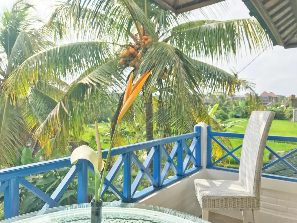 Guest House Kudos - photo 14