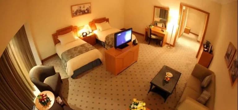 Wiseman Grand Hotel - photo 4