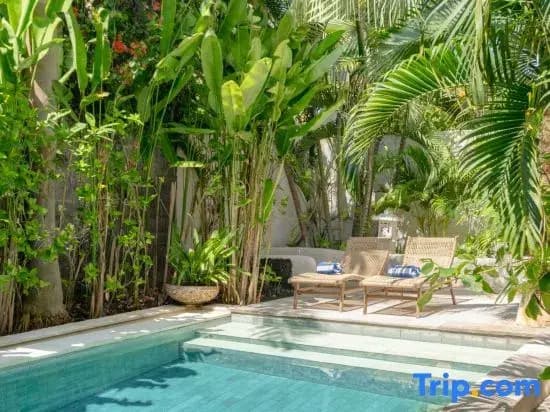 Ocean Luxury Villas - photo 4